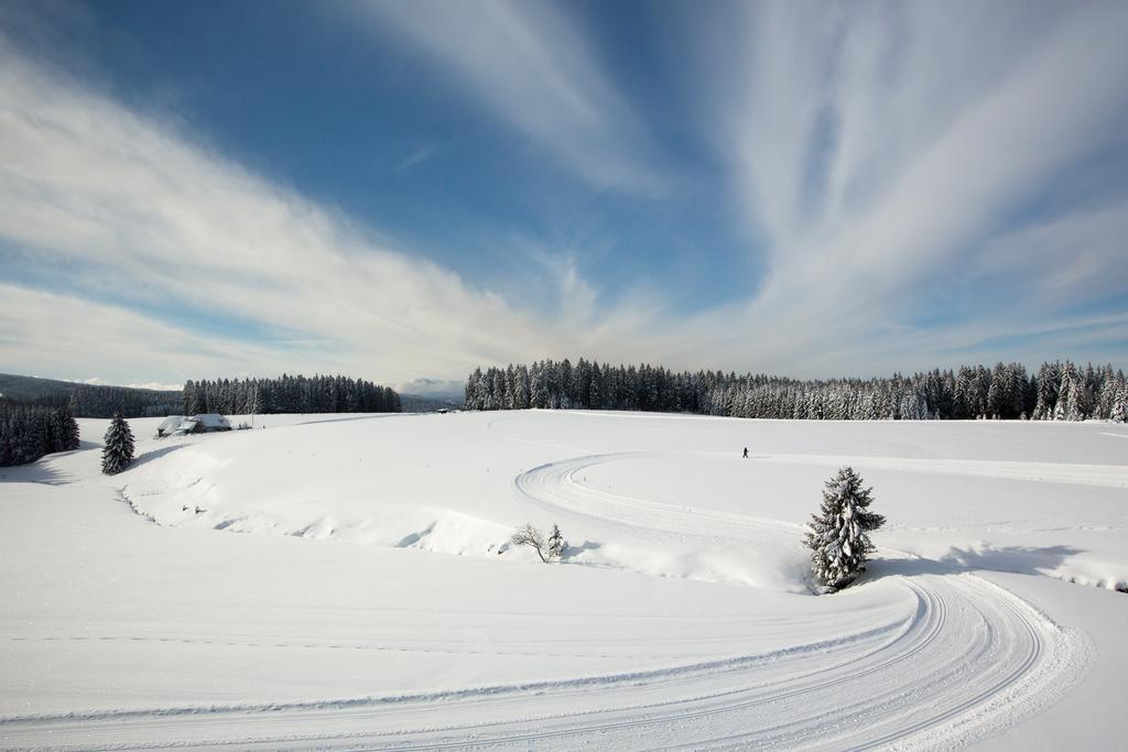 Gasthaus Zum Hirschen ฟวร์ตวานเงน ภายนอก รูปภาพ
